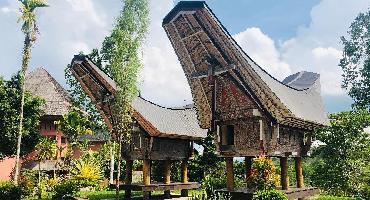 Célèbes (Sulawesi)