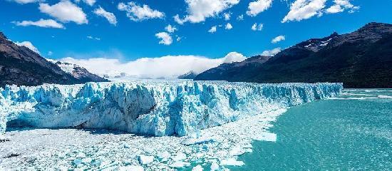 Argentine