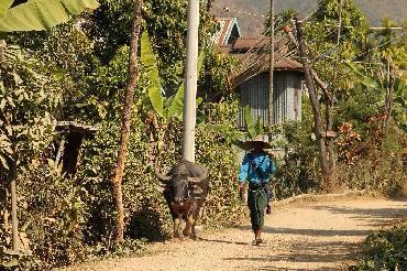 Visiter Village Karen de Lakkhana