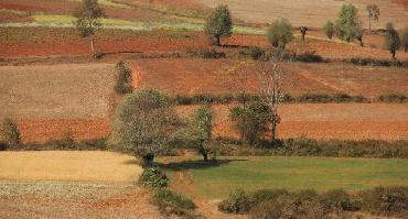 Voyage Birmanie : Visiter Pindaya