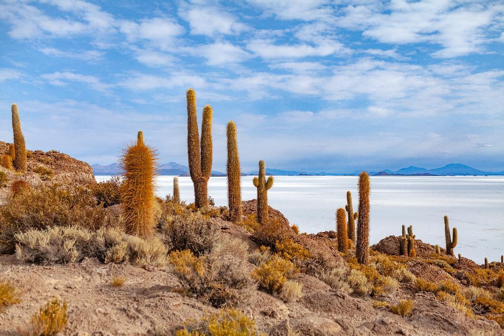 Trésors de Bolivie
