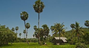 Voyage Cambodge : Visiter Battambang