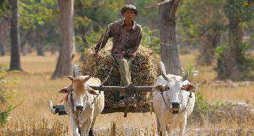 Voyage Cambodge : Visiter Kompong Cham