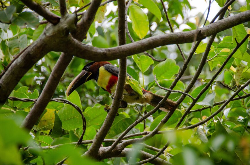 © Unsplash - Nadine Marfurt Parc aux oiseaux