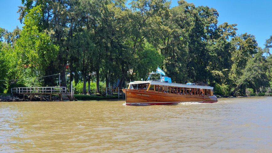 © Unsplash - Ditmar Lange Tigre
