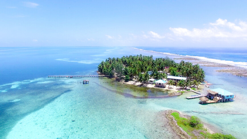 © Shutterstock - Larwin Ile de Tobacco Caye