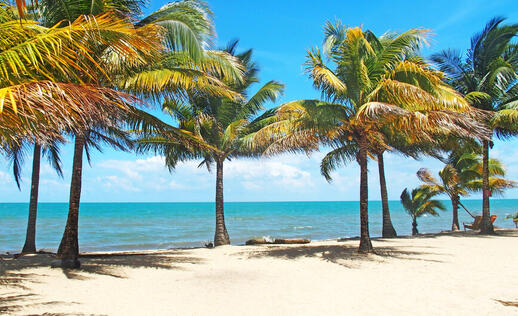 Plage de Dangriga
