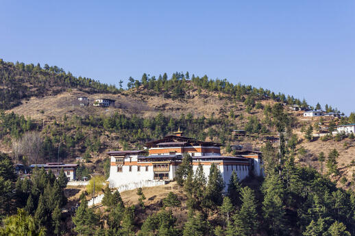 © Shutterstock - anandoart Semtokha Dzong