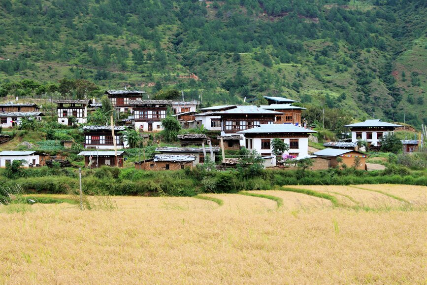 © Unsplash - Deepavali Gaind La vallée de Punakha