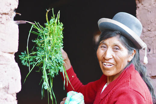 Communauté aymara