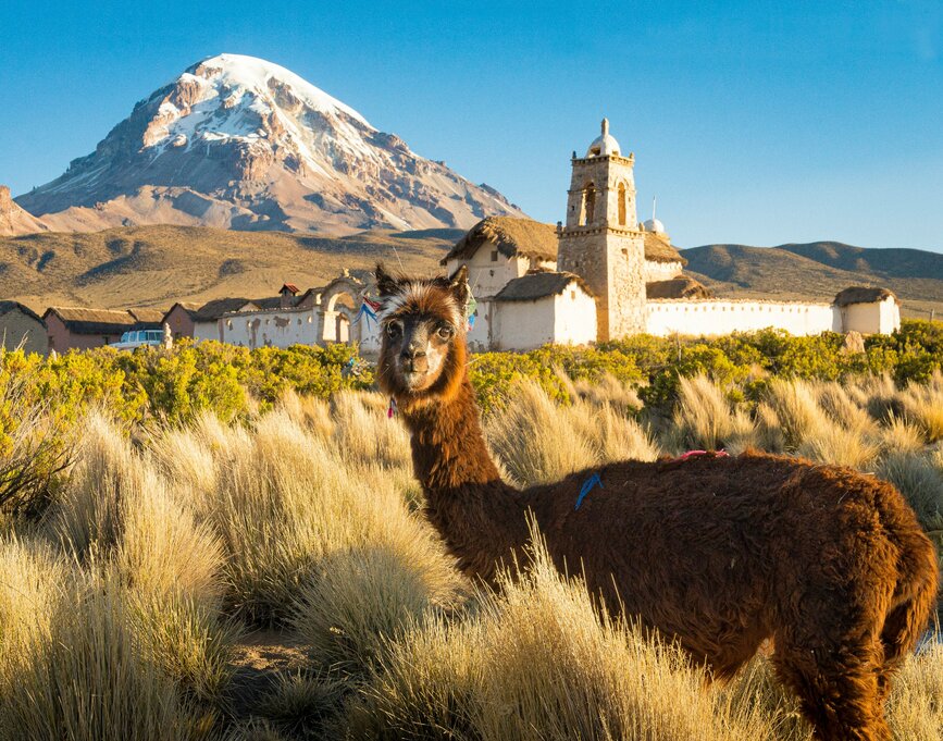 © Unsplash - Alain Bonnardeaux Excursion dans le parc national de Sajama