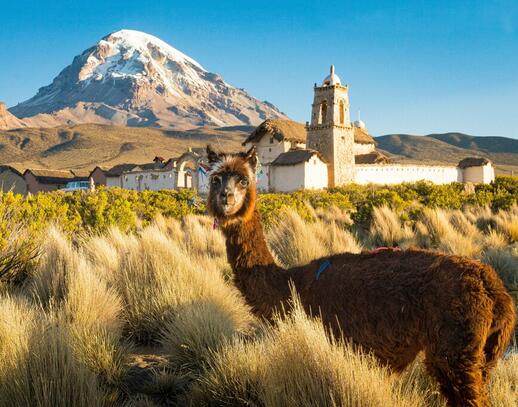 Excursion dans le parc national de Sajama
