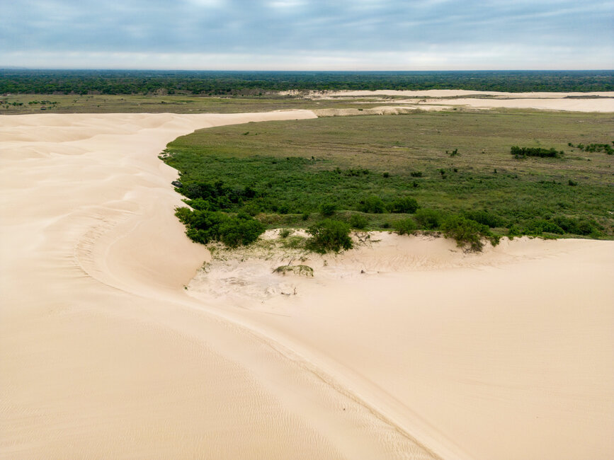 © Shutterstock - Freedom_wanted Réserve Lomas de Arena