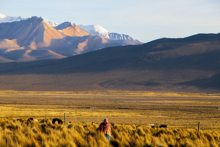 © Unsplash- Clement Gentilini Parc de Sajama
