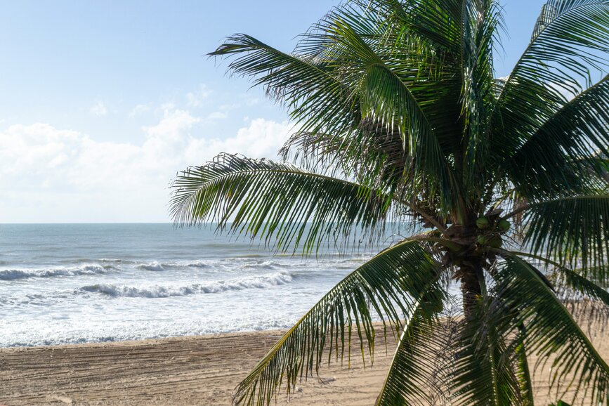 © Unsplash - thiago japyassu Baie Formosa