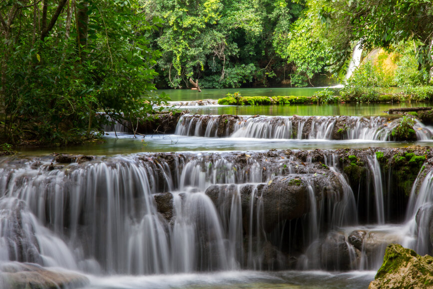 © Shutterstock - Michiel Scheerhoorn Estancia Mimosa