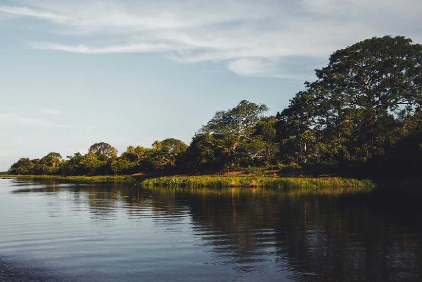 © Unsplash - Nathalia Segato Fazendas du Pantanal Sud
