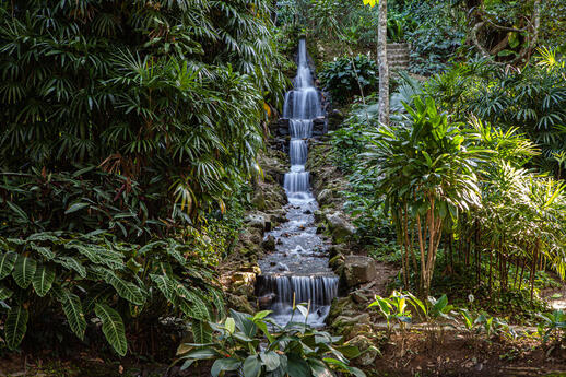 © Shutterstock - JS Neto Fotografia Forêt de Tijuca