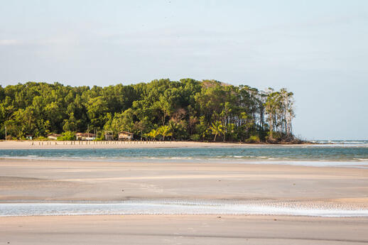 Ile de Marajo
