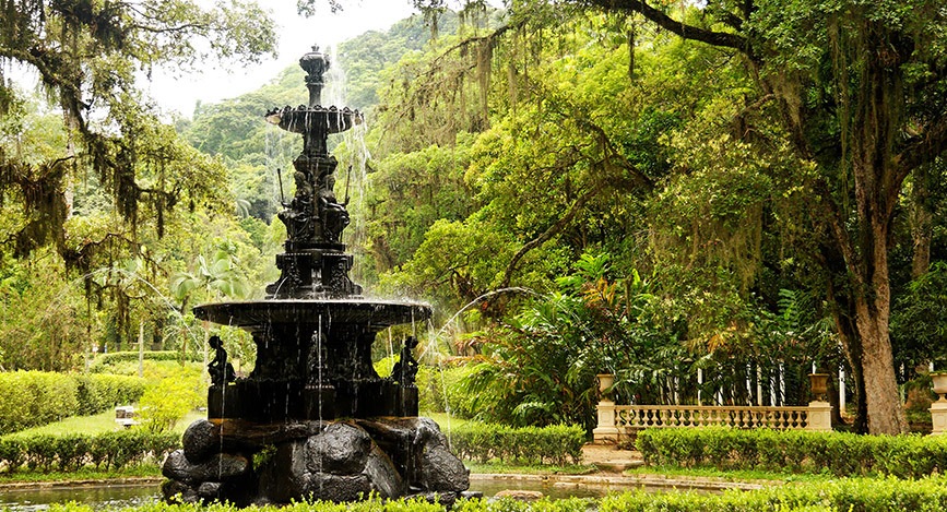 © IStock - Hanis Jardim Botanico