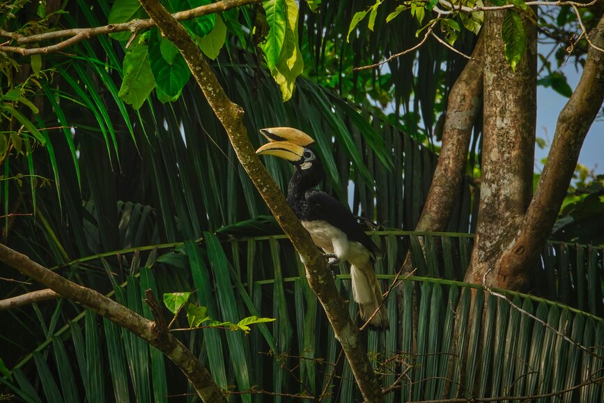 © Unsplash - James Lo Parc des Oiseaux