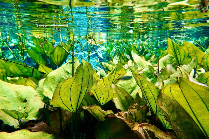 © Unsplash - Azzedine Rouichi Fleuve Sucuri