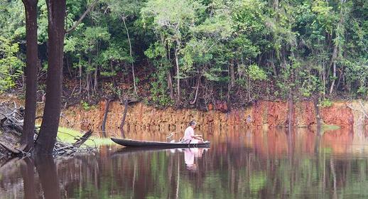 © Unsplash - Stephanie Morcinek Séjour dans la Forêt Amazonienne