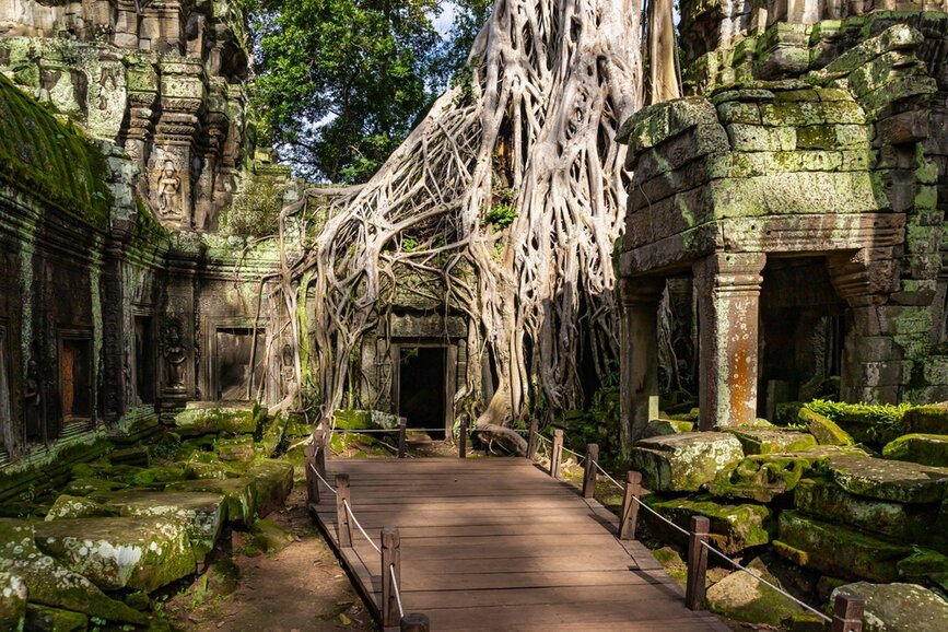 © Shutterstock - Kadagan M Beng Mealea