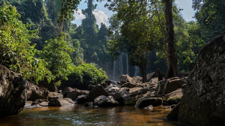 © Shutterstock - Anatoly Kharlamov Cascade jungle