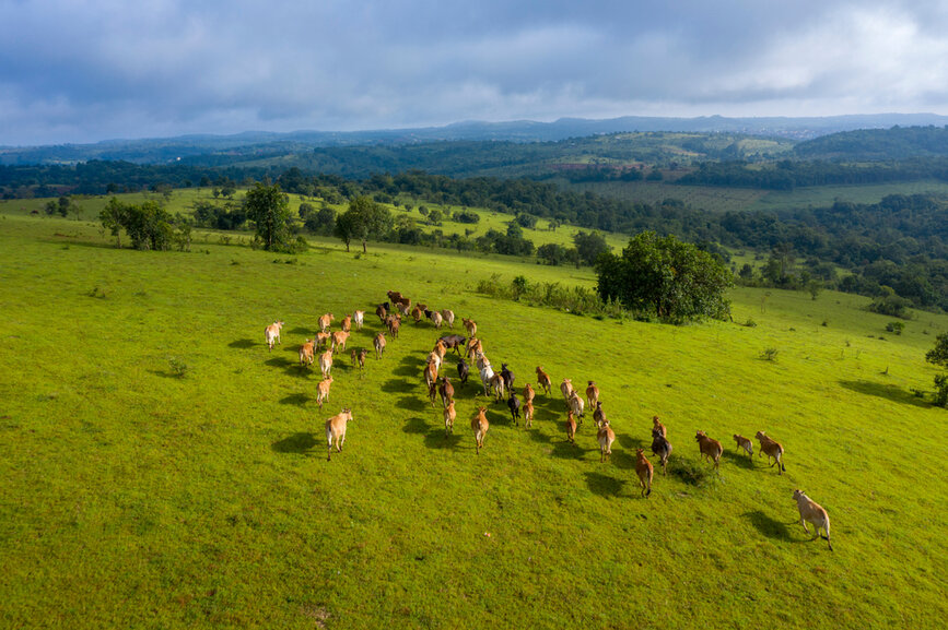 © Shutterstock - CamNet Hauts plateaux