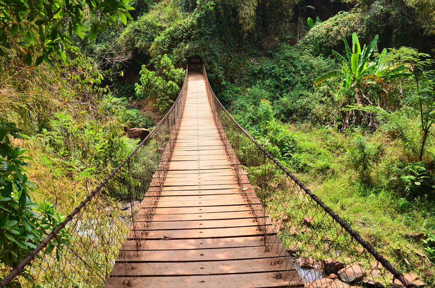 © Shutterstock - MUTO KOJI Pont suspendu