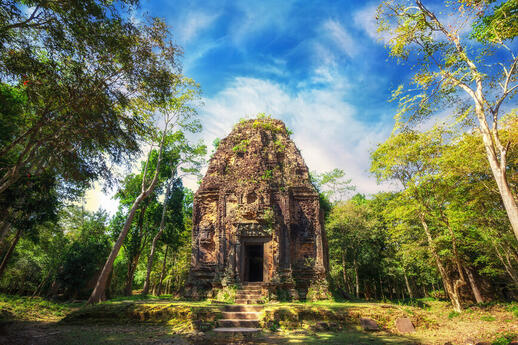 Temple jungle