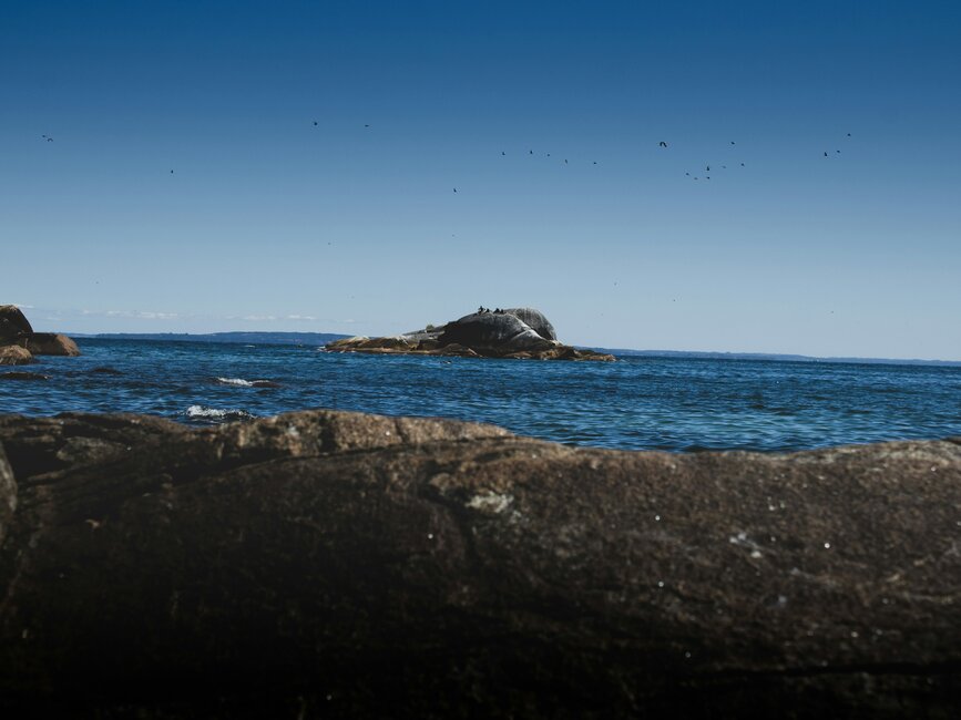 © Unsplash - Noel Oviedo Visite de Puerto Montt