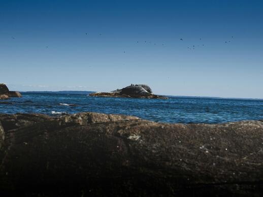 Visite de Puerto Montt