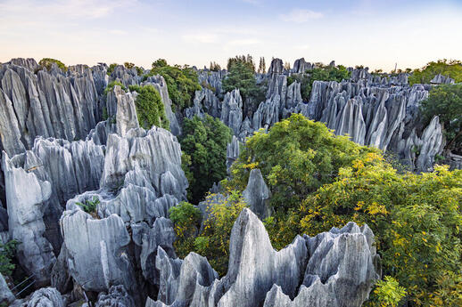 © Shutterstock - Andrii Lutsyk Foret de Pierres