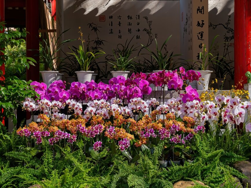 © Shutterstock - Kit Leong