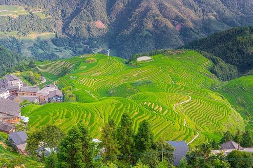 © Shutterstock - Tatiana_kashko_photo Rizières vers Guilin