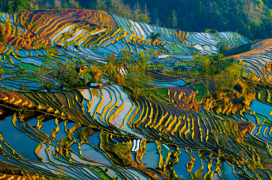 Yuanyang