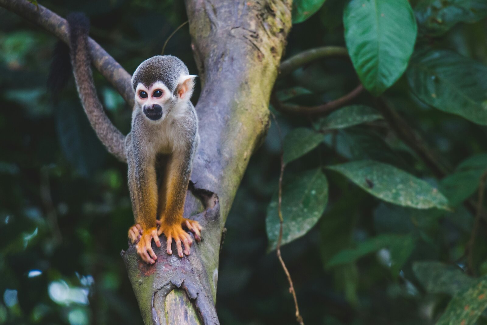 ©Unsplash - Diego Guzmán