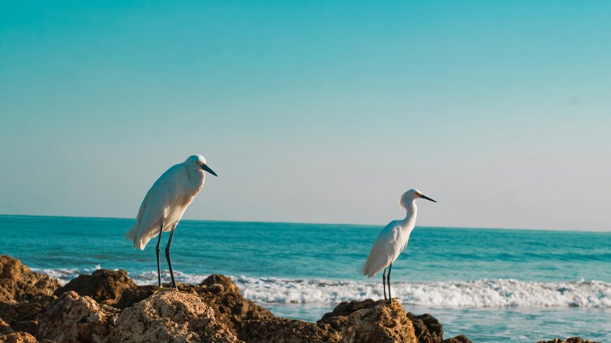 © Unsplash - Maria Camila Bermúdez Isla Mucura, Archipel de San Bernardo