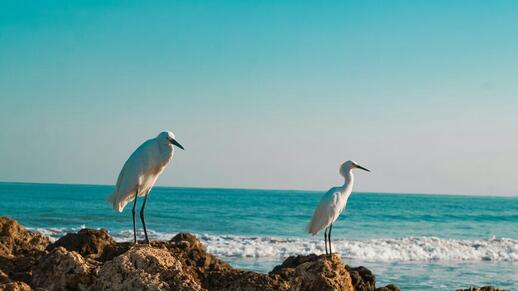 © Unsplash - Maria Camila Bermúdez Isla Mucura, Archipel de San Bernardo