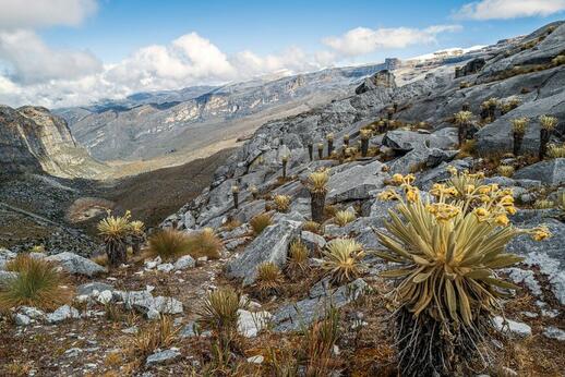 Le Parc du Cocuy, dans les Andes colombiennes