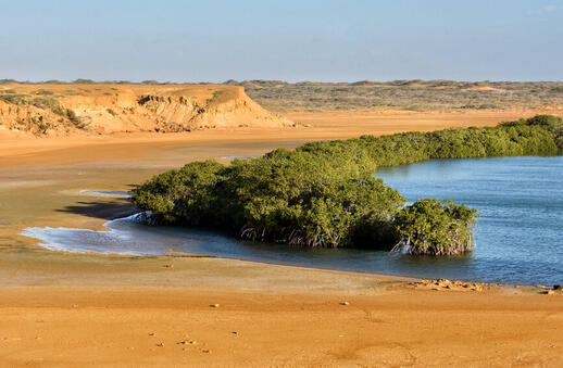 Punta Gallinas