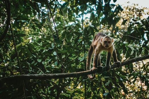 © Unsplash - Berend leupen Parc Tayrona