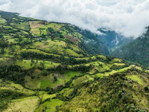 Vallée del Cauca