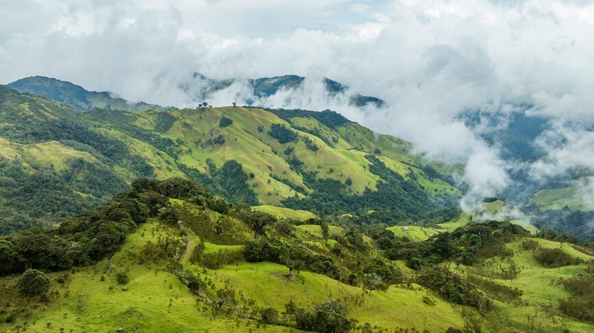 © Unsplash- Ricky Beron