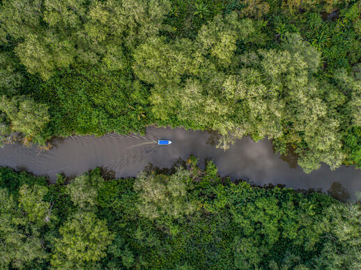 Rio Sierpe