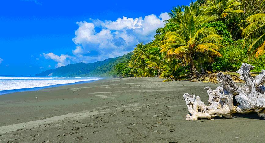© IStock - TSimonDannhauer Isla del Caño au Costa Rica