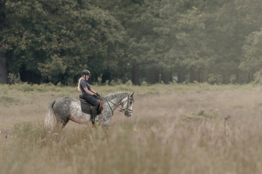© Unsplash - Peter Kostov Promenade à cheval