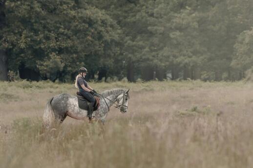 Promenade à cheval